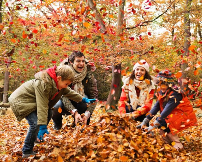 7 Natural Remedies for Autumn Immunity