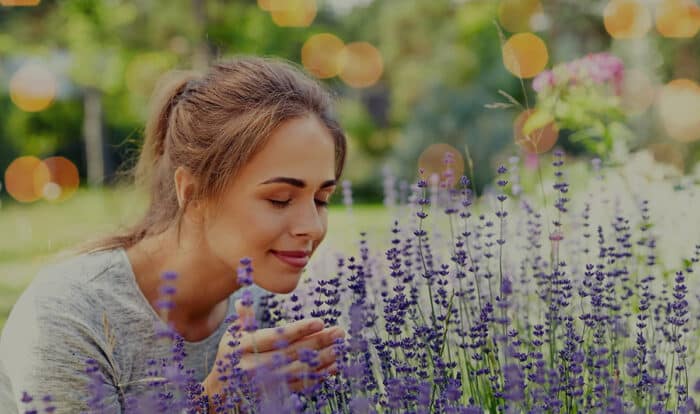 3 Herbs to Lift Mood & Prevent Infections