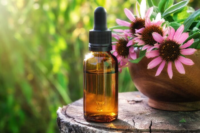 5 Herbs to Supercharge Your Immune System