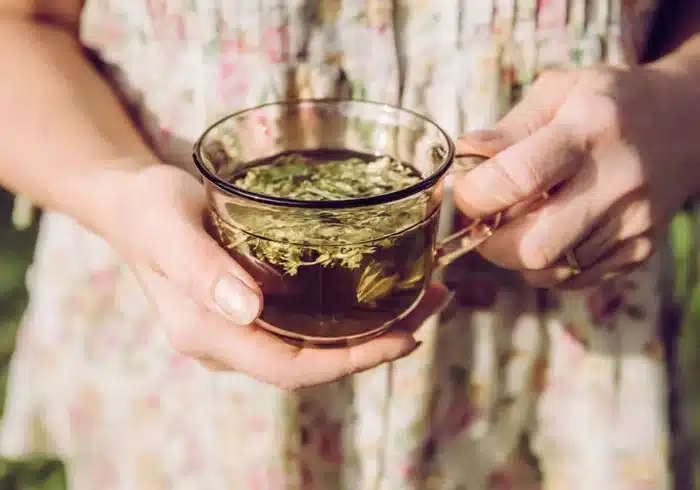 5 Herbs for Gut Health